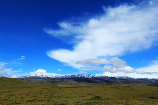 塔公草原和雪山