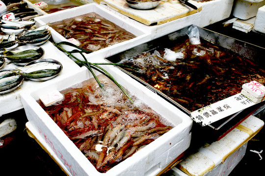 魚攤 市場