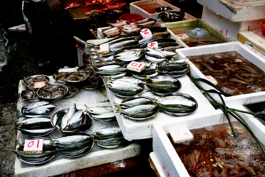 魚攤 新鮮魚頭