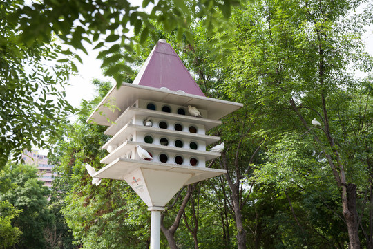 公園里的鴿子房