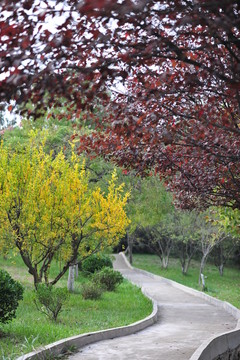 公園風(fēng)景