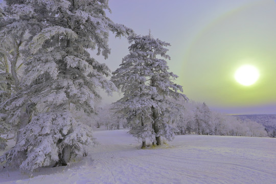 中國雪鄉(xiāng)