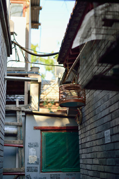 胡同