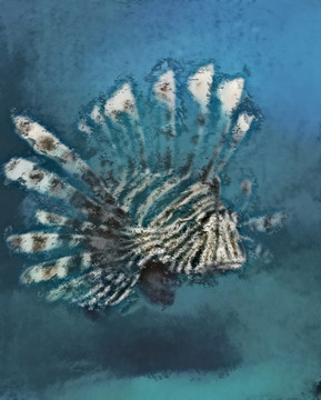彩色大魚抽象畫