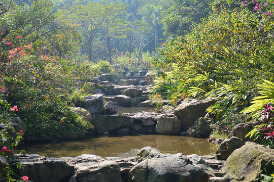 公園溪流