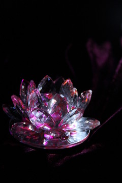 水晶蓮花靜物攝影