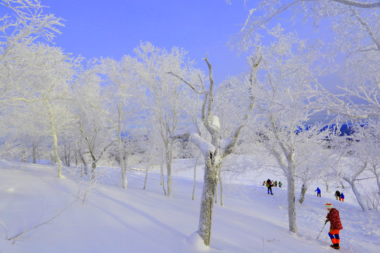 中國雪鄉(xiāng)