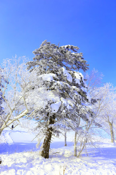 中國(guó)雪鄉(xiāng)