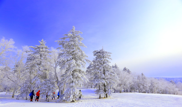 冰雪畫廊