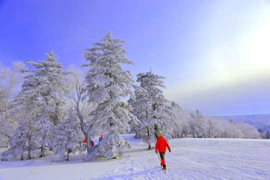 中國雪鄉(xiāng)