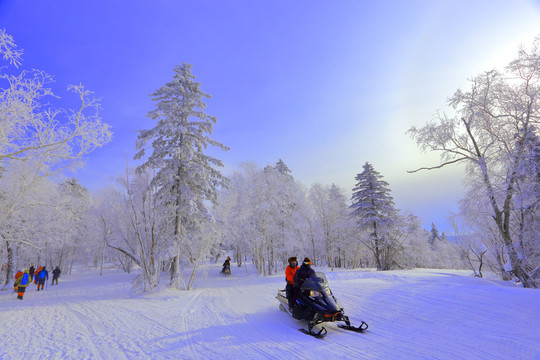 中國雪鄉(xiāng)