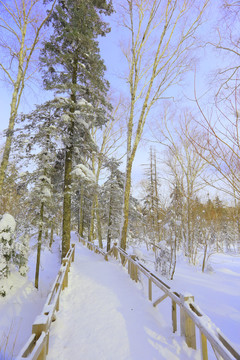 冰雪畫廊