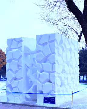 國際大學(xué)生雪雕大賽
