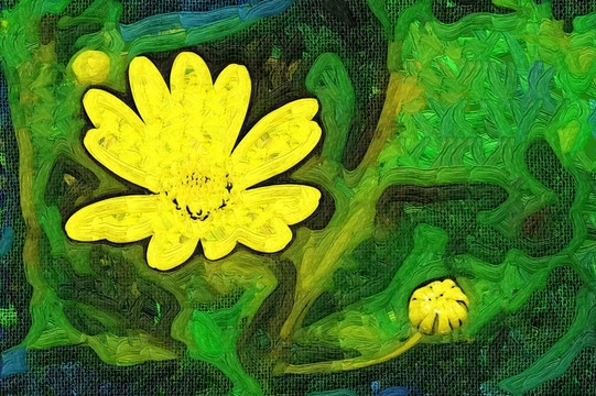 花卉 抽象畫