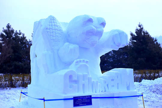 國際大學(xué)生雪雕大賽