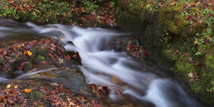 青苔楓葉山間流水風(fēng)景高清