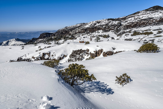 祿勸轎子雪山