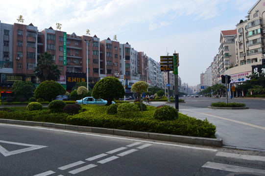車道綠化