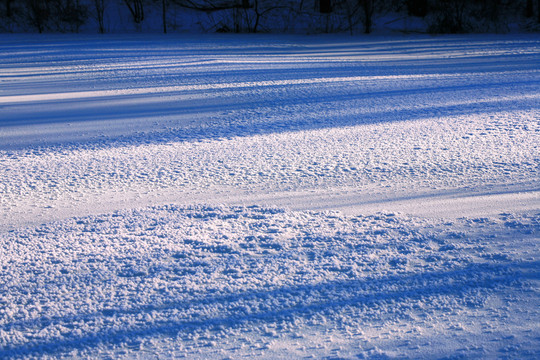 雪原光影