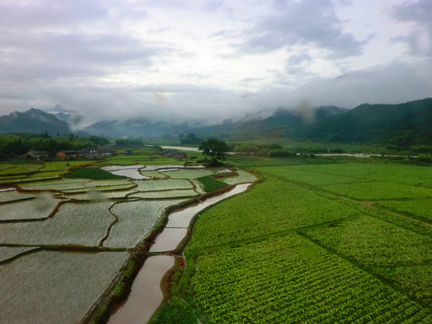 雨后農(nóng)田