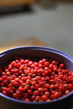 紅豆杉