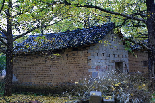 林間小屋