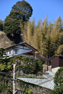 寺院