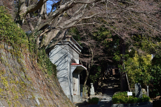 寺院