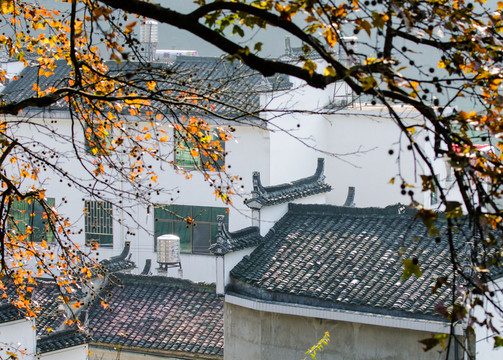 長(zhǎng)溪秋色