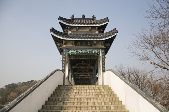 古橋