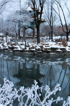 雪后霧凇