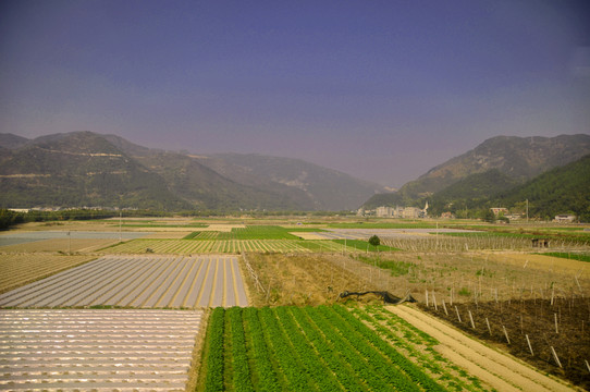 山下的田野
