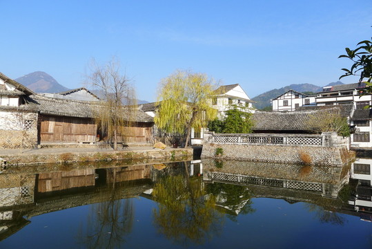 蒼坡村