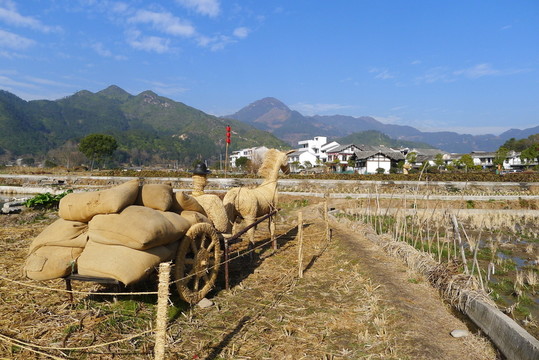 稻草人
