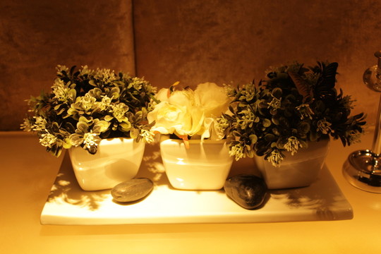 裝飾花草