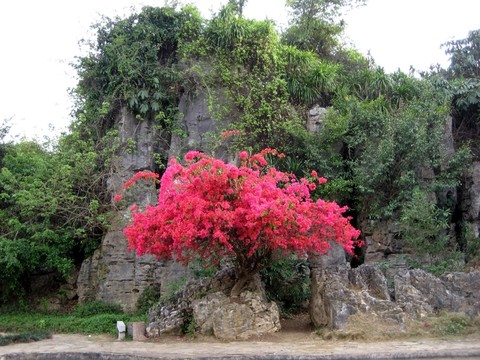 花