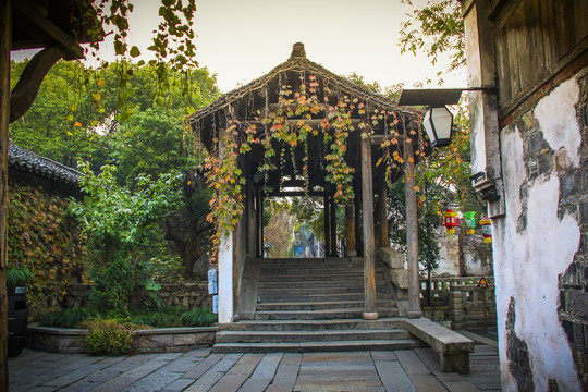 烏鎮(zhèn)