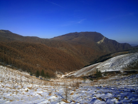林海雪原