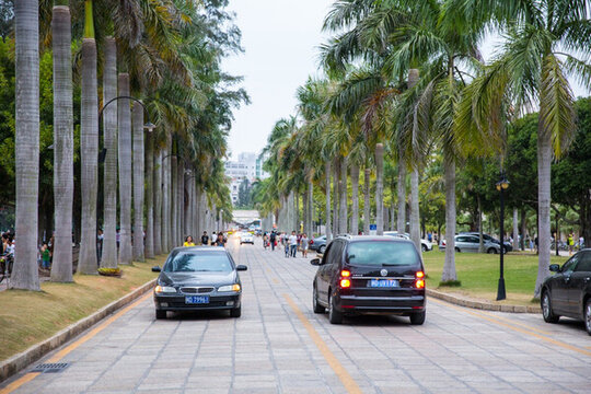 廈門(mén)大學(xué) 校園林蔭路 校園風(fēng)光