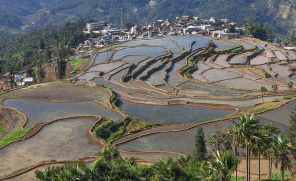 紅河甲寅梯田