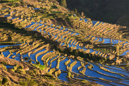 哀牢山紅河梯田
