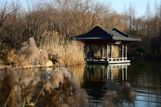 大明湖