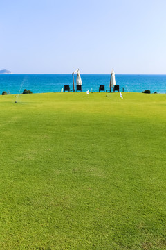 海邊草地