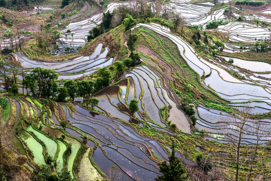 老虎嘴梯田