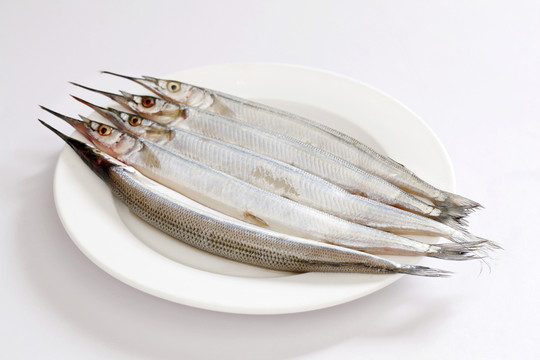 棒魚