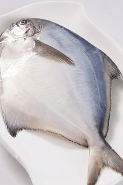 鯧魚