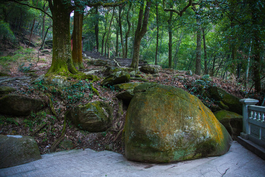 廬山風(fēng)光