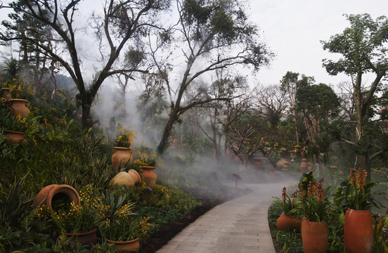 薄霧繚繞的南寧青秀山蘭園