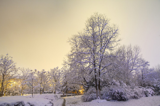 城市雪景