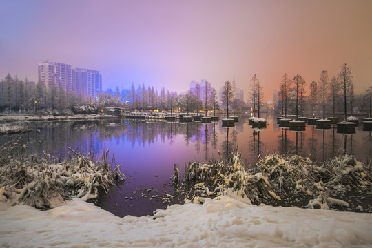 城市雪景